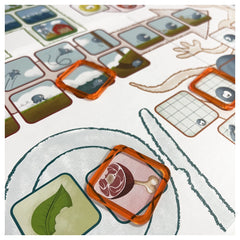 Asmodee - Concept Kids - Animali - Juegos de Mesa - 4+ - STR8642 - Edición Italiana