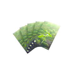 Asmodee - Forest Shuffle Premium Art Sleeves - Juegos de Mesa - +14 - Upgrade - STR6989 - Edición Italiana