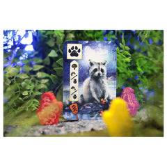 Asmodee - Meadow Downstream - Juegos de Mesa - +10 - Aventura - STR8129 - Edición Italiana
