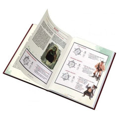 Asmodee - One More Quest - Board Games - Age +14 - STR3055 - Italian Edition