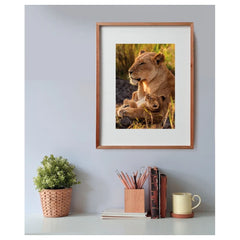 Clementoni - Puzzle Amor Felino - Puzzles - Edad +12 - 500 Piezas - CLM35615