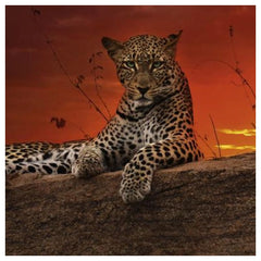 Heye - Puzzle Red Dawn - Puzzles - +14 - HEY29608