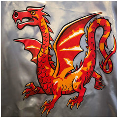 Liontouch - Amber Dragon Cape - The Amber Dragon Knight Line - Pretend Professions & Role Playing