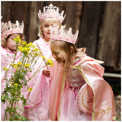 Liontouch - Capa de la Reina - La Línea Reina Rosa - Profesiones de Imaginación y Juego de Roles