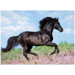 Ravensburger - Black Stallion - 200 Pieces - Puzzles