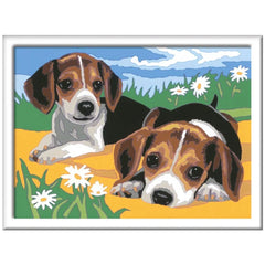 Ravensburger - Creart Beagle Puppies - Painting By Numbers - Arts & Crafts