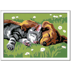 Ravensburger - Creart Sleeping Cats And Dogs - Painting By Numbers - Arts & Crafts