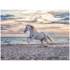 Ravensburger - Rompecabezas 500 Piezas Caballo en la Playa - Puzzles
