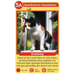 Ravensburger - Tierquartett Katzen - Card Game