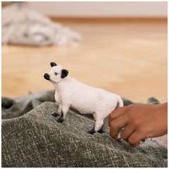 Schleich - Mundo de Granja - Vaca Galloway - Figuras de Acción y Juguetes - 13960