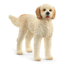 Schleich - Mundo de Granja - Goldendoodle - Figuras de Acción y Juguetes - 13939
