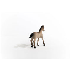 Schleich - Horse Club - Potro Criollo Definitivo - Figuras de Acción y Juguetes - 13949