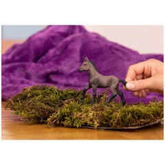 Schleich - Horse Club - Paso Peruano Foal - Action & Toy Figures - 13954