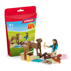 Schleich - Picnic con Lisa - Juegos de construcción