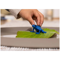 Schleich - Vida Salvaje - Rana Flecha Azul - Figuras de Acción y Juguetes - 14864