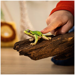 Schleich - Wild Life - European Tree Frog - Action & Toy Figures - 14882