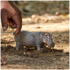 Schleich - Vida Salvaje - Hipopótamo - Figuras de Acción y Juguetes - 14814