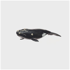 Schleich - Wild Life - North Atlantic Right Whale - Action & Toy Figures - 14878