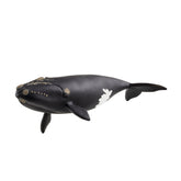 Schleich - Wild Life - North Atlantic Right Whale - Action & Toy Figures - 14878