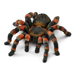 Schleich - Wild Life - Tarantula - Action & Toy Figures - 14829