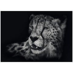 Schmidt Spiele - Speed - Cheetah, bajo el signo de la gracia 1000 piezas - rompecabezas