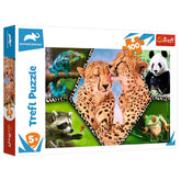 Trefl - Naturaleza Hermosa - Puzzles - +5 - TRF16424