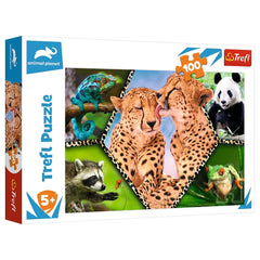 Trefl - Naturaleza Hermosa - Puzzles - +5 - TRF16424