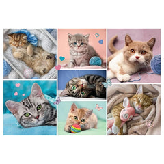 Trefl - Puzzle de 100 Piezas - Puzzles - 5 - TRF16420