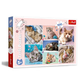Trefl - Puzzle de 100 Piezas - Puzzles - 5 - TRF16420