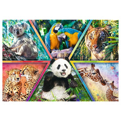 Trefl - Rompecabezas de 1000 Piezas - Puzzles - 14 - TRF10672