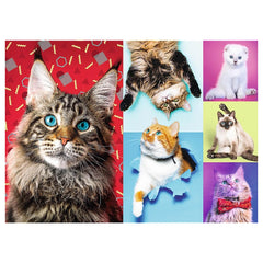 Trefl - Happy Cats - Puzzles - 14 - TRF10591