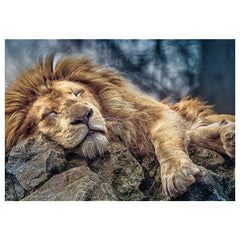 Trefl - Sleeping Lion - Puzzles - 14+ - TRF10447