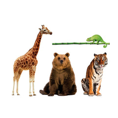 Clementoni - Animali Da Record Card Games - Italian Edition