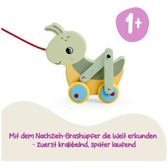 Colorful pulling grasshopper toy features a smiling green body with blue wheels, red nose, and a red string for pulling.