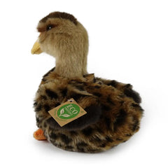 Rappa - Exclusive Eco - Friendly Plush Mallard Duck - Stuffed Animals - Age +0M - RAP - ECO - DUCK - 19 - 69525066