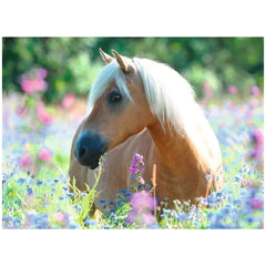 Ravensburger - Caballo en el mar de flores - 300 piezas - Puzzles