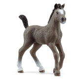 Schleich - Horse Club - Cheval De Selle Francais Foal - Action & Toy Figures - 13957