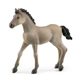 Schleich - Horse Club - Definitive Criollo Foal - Action & Toy Figures - 13949