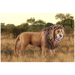 Schleich - Vida Salvaje - León Rugiendo - Figuras de Acción y Juguetes - 14726