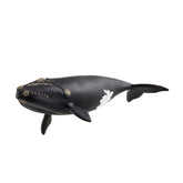 Schleich - Wild Life - North Atlantic Right Whale - Action & Toy Figures - 14878