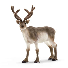 Schleich - Wild Life - Reindeer - Action & Toy Figures - 14837