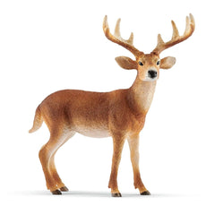 Schleich - Wild Life - White-Tailed Buck - Action & Toy Figures - 14818