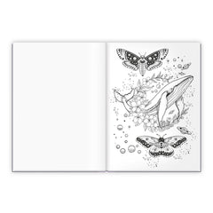 Trötsch Verlag - Libros - Libro para colorear Traumwelten - 6+ Años - Relajación