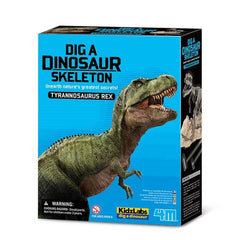 4M - Dig a Dinosaur T-Rex - Educational