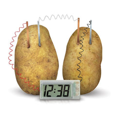 4M - Green Science Potato Clock Fun Energy Set - Educational Toys