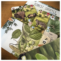 Asmodee - Forest Shuffle - Juegos de Mesa - 10+ - STR8322 - Edición Italiana