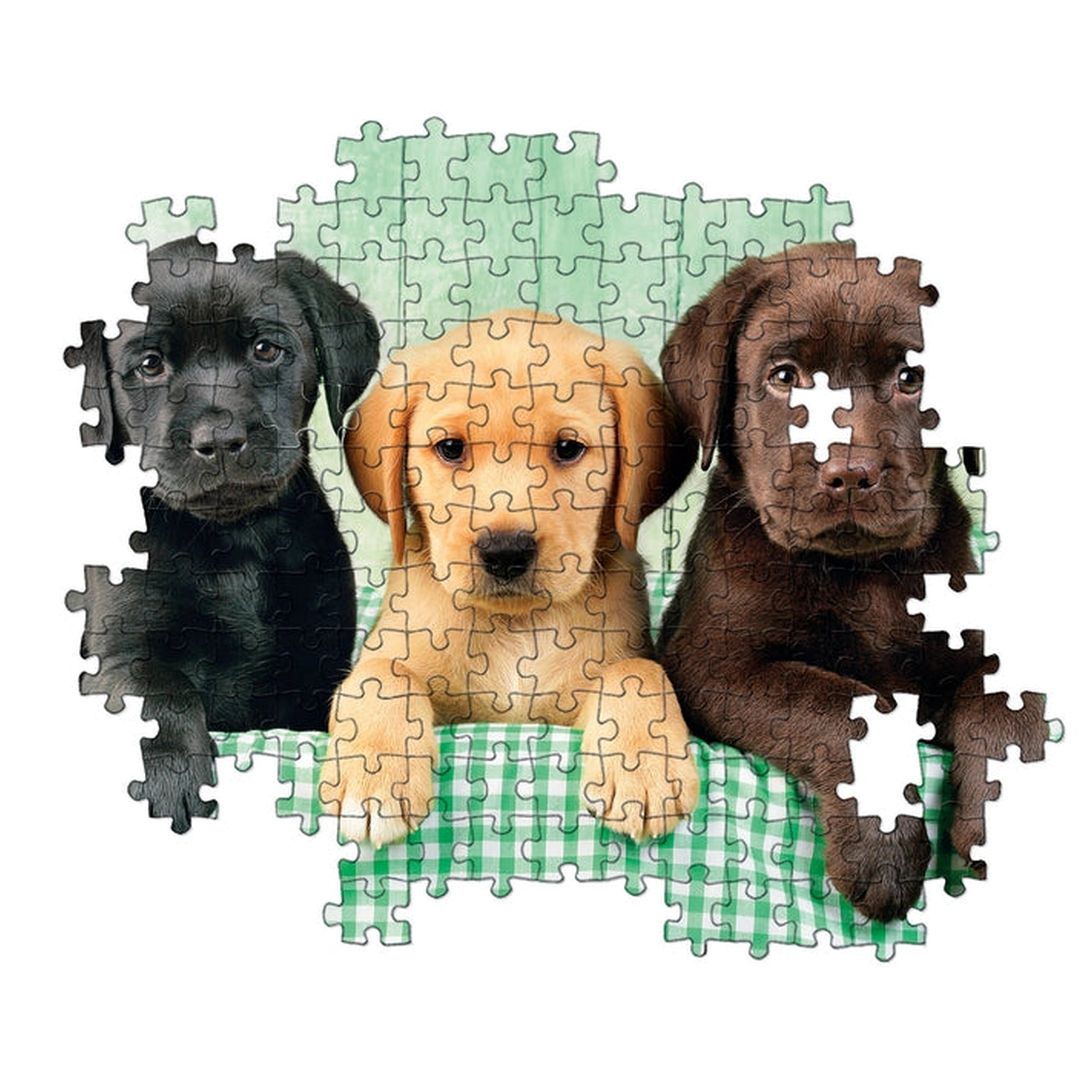 Clementoni Colección de Alta Calidad - Rompecabezas de 1000 Piezas de Tres Cachorros de Laboratorio