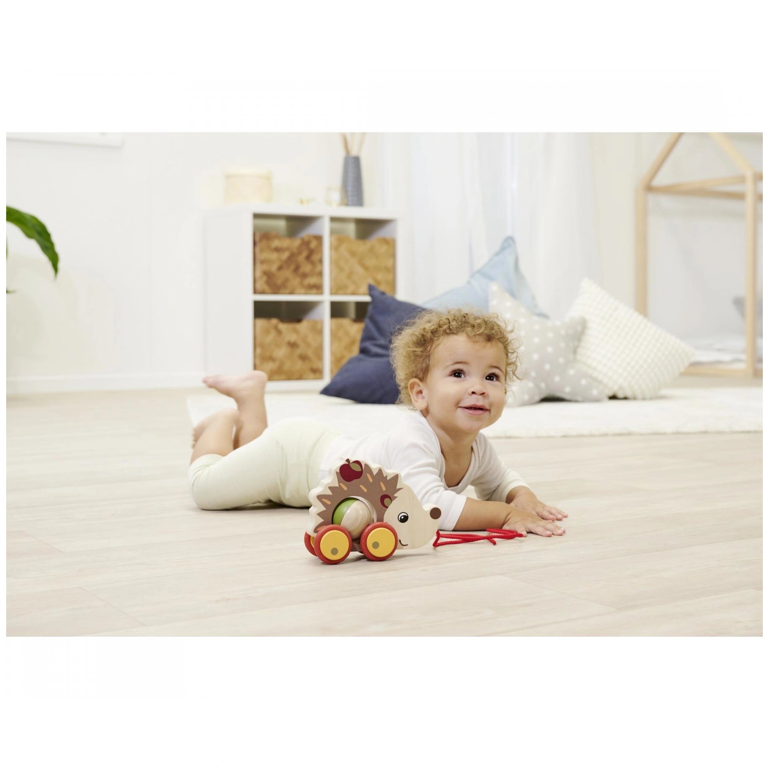 Eichhorn - Pull Back Hedgehog - Push & Pull Toys