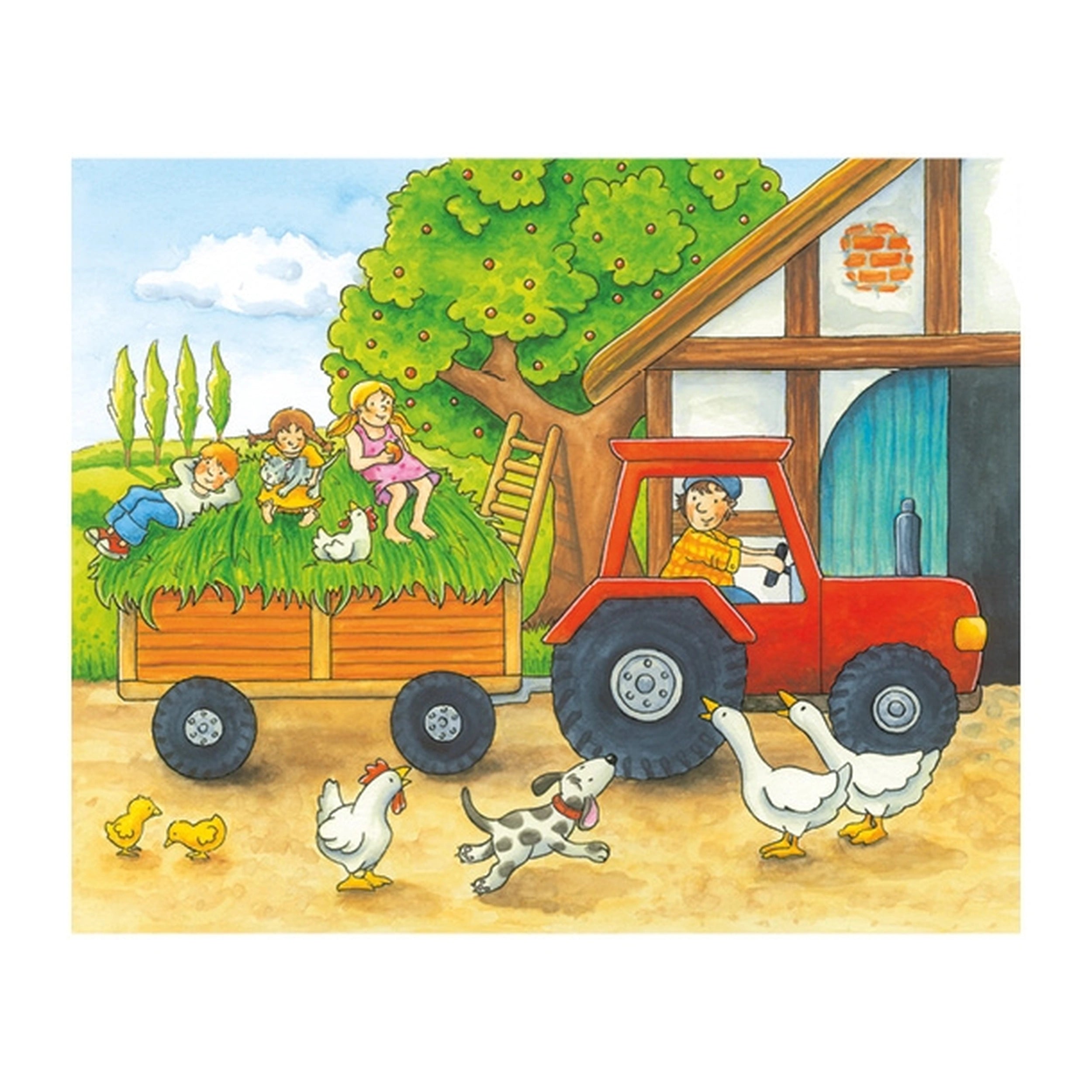 Gollness - Cubo Puzzle Estaciones en la Granja - Puzzles
