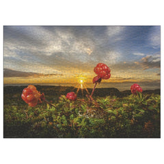 Heye - Puzzle Cloudberries online kaufen - Audun Rikardsen - Puzzle Age: +14 - HEY30016
